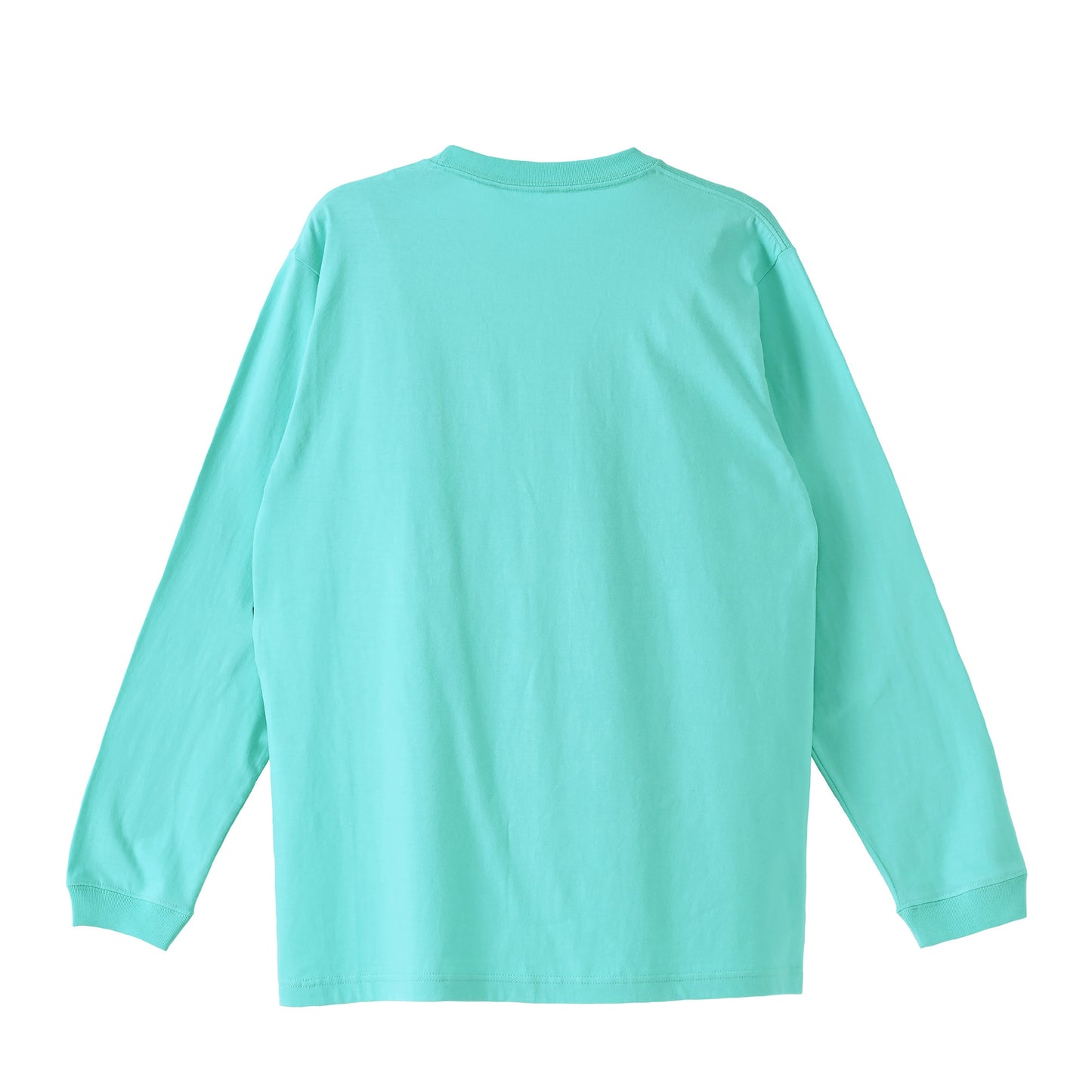 ロンT 刺繍ロゴ pastel-emerald image