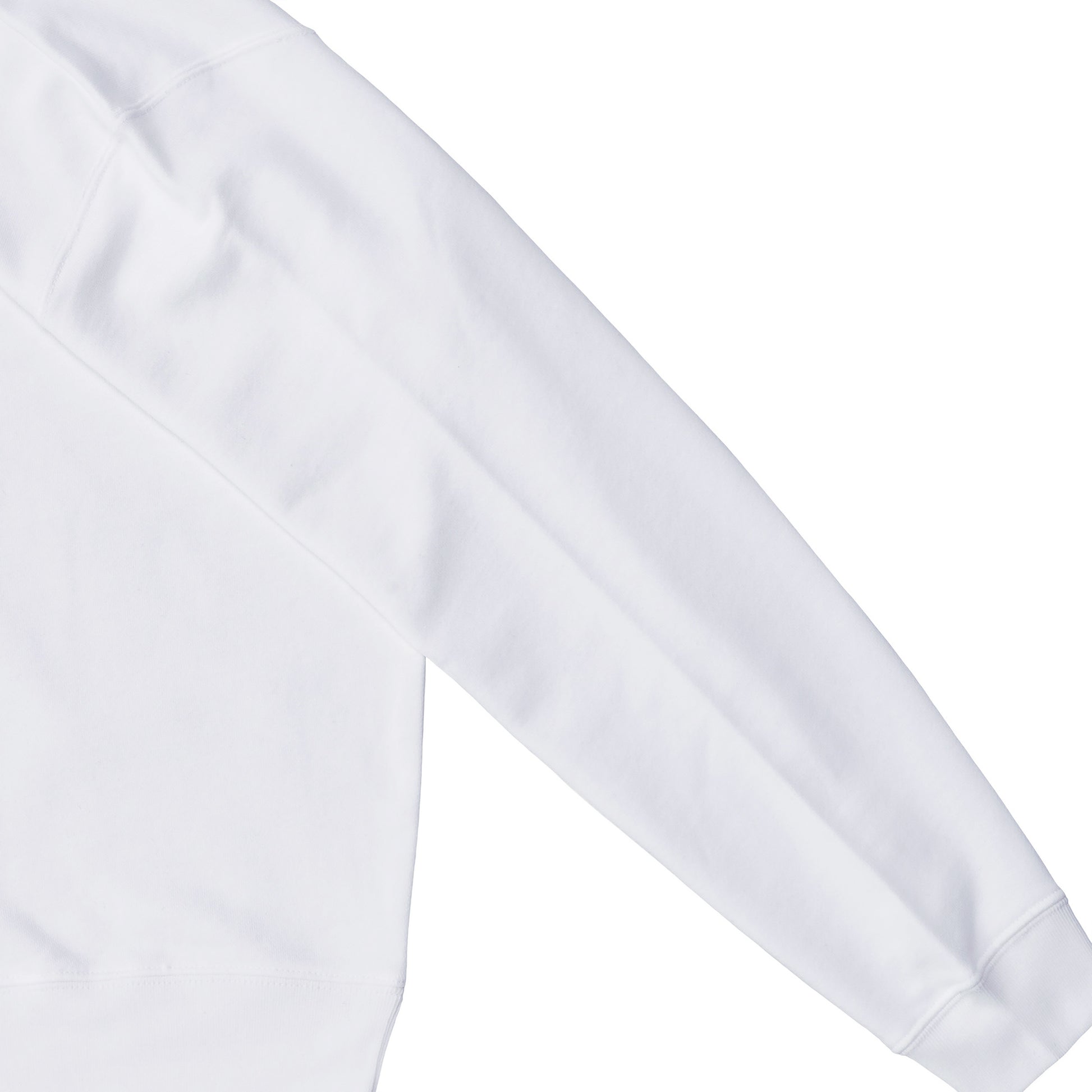 裏パイルスウェット　メキシカンスカル white image